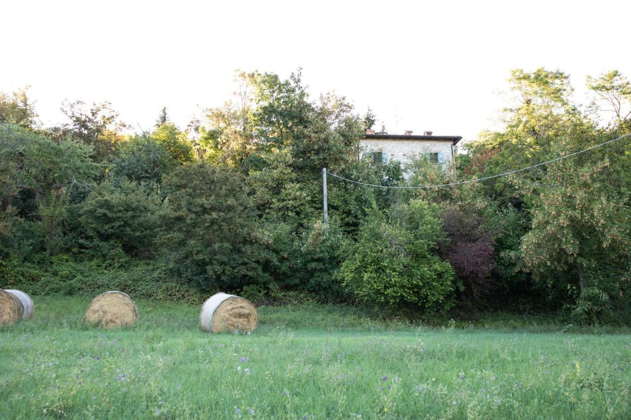 La Marcona Apartment Serramazzoni Bagian luar foto